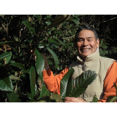 【先行受付】根獅子 びわ 250g(5～6個)×4P