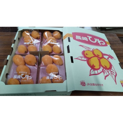 【先行受付】根獅子 びわ 250g(5～6個)×4P