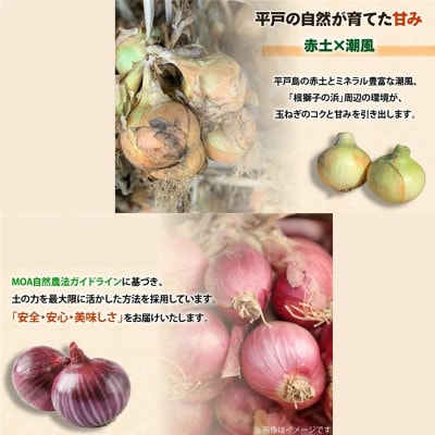 【産地直送!】赤・白玉ねぎ セット 各約4kg 計約8kg