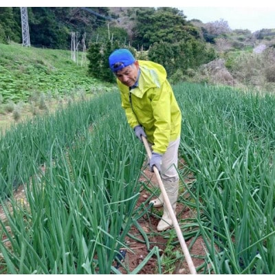 【産地直送!】赤・白玉ねぎ セット 各約4kg 計約8kg
