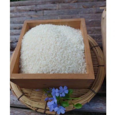 【先行受付】ねしこ棚田米　5kg