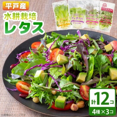 水耕栽培 レタス 4種×3個
