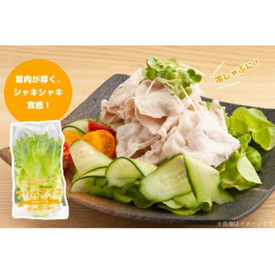 水耕栽培 レタス 4種×3個