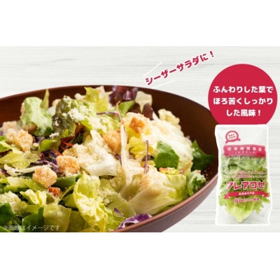 水耕栽培 レタス 4種×3個