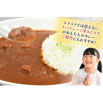 うちわ海老カレー(5食セット)