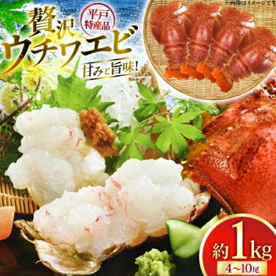 ウチワエビ三昧 約1000g(冷凍)