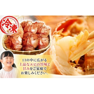 ウチワエビ三昧 約1000g(冷凍)