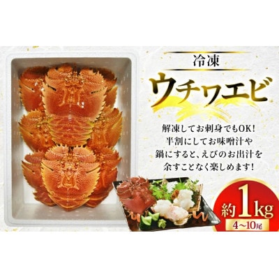 ウチワエビ三昧 約1000g(冷凍)