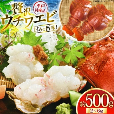 ウチワエビ 三昧 約500g(冷凍)