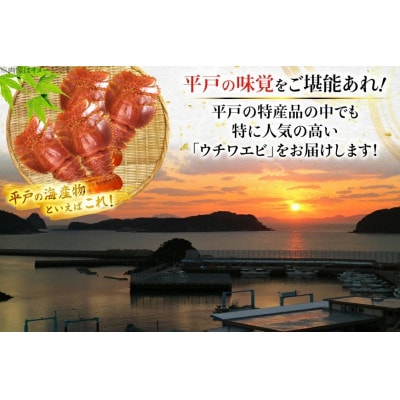 ウチワエビ 三昧 約500g(冷凍)