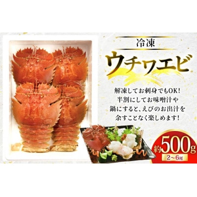 ウチワエビ 三昧 約500g(冷凍)