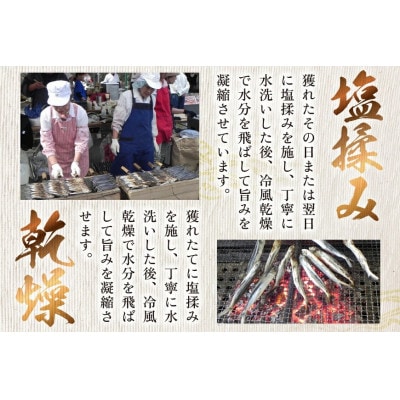 炭火で焼いた塩あご 3尾入り×5袋