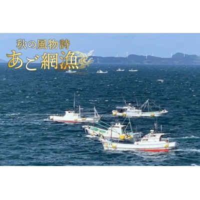 生月あごだし 国産牛もつ鍋セット(6～8人前)