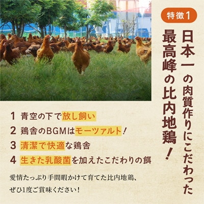 比内地鶏 きりたんぽ鍋セット 3人前F 野菜付き 【かづのわくわくファクトリー】