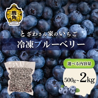 鹿角産 冷凍ブルーベリー1kg(500g×2袋)サイズMIX【とざわさん家のいちご】