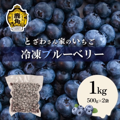 鹿角産 冷凍ブルーベリー1kg(500g×2袋)サイズMIX【とざわさん家のいちご】