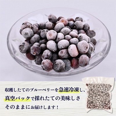 鹿角産 冷凍ブルーベリー1kg(500g×2袋)サイズMIX【とざわさん家のいちご】