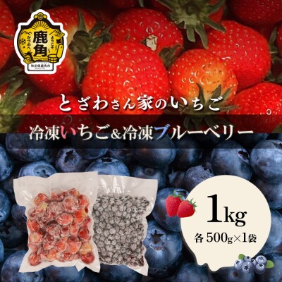 鹿角産 冷凍 いちご & ブルーベリー 1kgサイズMIX【とざわさん家のいちご】