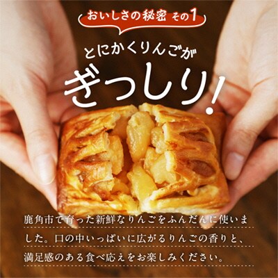 たっぷりりんごの アップルパイ 6個入(箱入り)【レディースファーム】