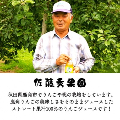 完全無添加 十和田八幡平高原りんごジュース (300ml×20本)【佐藤秀果園】  