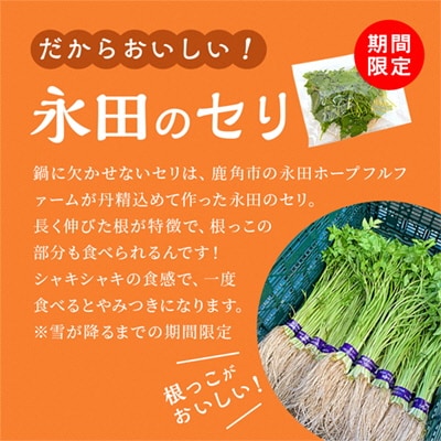 《先行予約》贅沢きりたんぽ鍋セット(2～3人前)永田のセリ/野菜付き【恋する鹿角カンパニー】