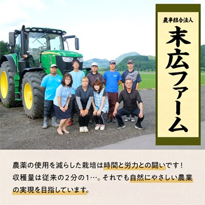 【3月発送】末広産 あきたこまち 精米10kg【末広ファーム】