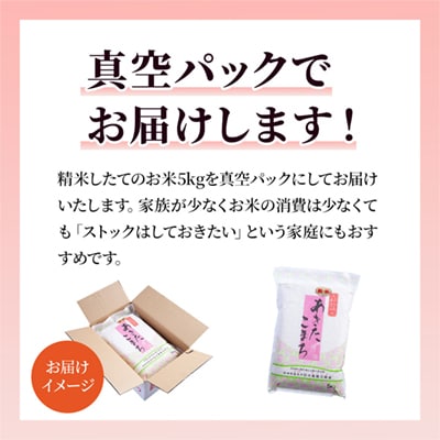 【定期便】R7年産 あきたこまち 精米5kg×6ヶ月【大里恒三商店】