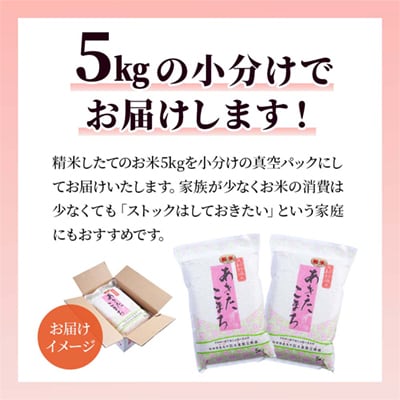 【定期便】R7年産 あきたこまち 精米10kg×3ヶ月【大里恒三商店】