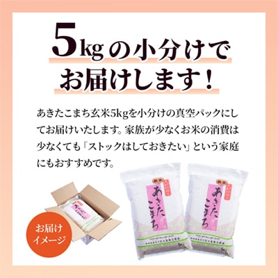 【定期便】R7年産 あきたこまち 玄米10kg×3ヶ月【大里恒三商店】