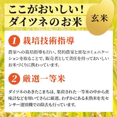 【定期便】R7年産 あきたこまち 玄米10kg×6ヶ月【大里恒三商店】