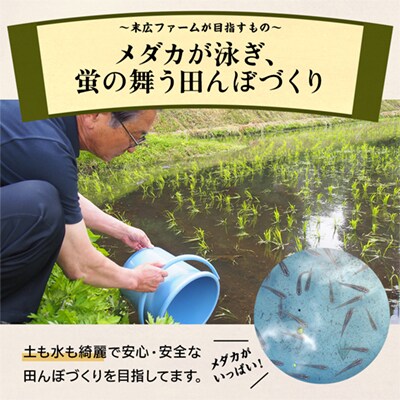 【3月発送】末広産 あきたこまち 無洗米5kg【末広ファーム】