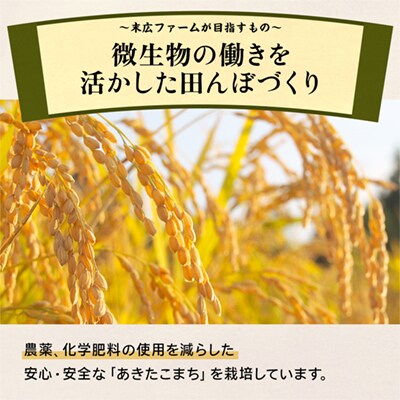 【3月発送】末広産 あきたこまち 無洗米5kg【末広ファーム】