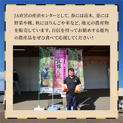 R7年産 あきたこまち 精米5kg【おらほの市場】