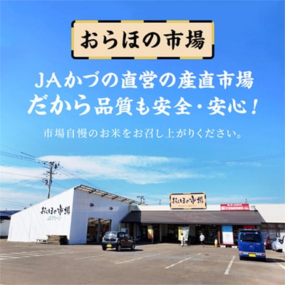 【定期便】R7年産 あきたこまち 精米5kg×6か月【おらほの市場】