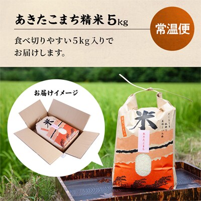 【定期便】R7年産 あきたこまち 精米5kg×6か月【おらほの市場】