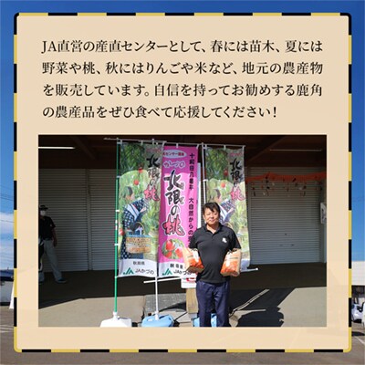 【定期便】R7年産 淡雪こまち 精米5kg×6か月【おらほの市場】