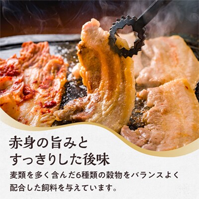 雪乃国麦豚 豚バラスライス 豚ウデ切り落としセット 合計 3kg【恋する鹿角カンパニー】