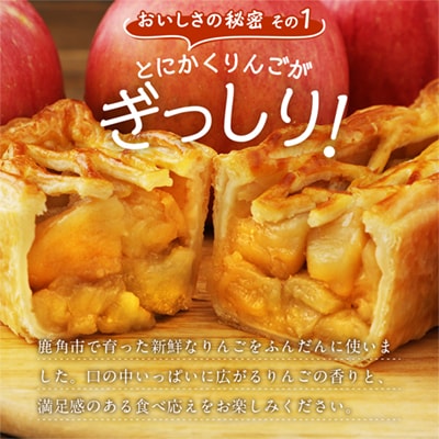 たっぷりりんごの ロングアップルパイ 2本入 【レディースファーム】
