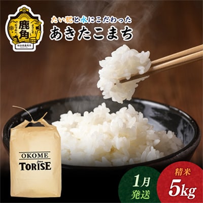 【1月発送】令和7年産 あきたこまち 精米5kg【トライズ】米 精米 白米 単一原料米 国産米 