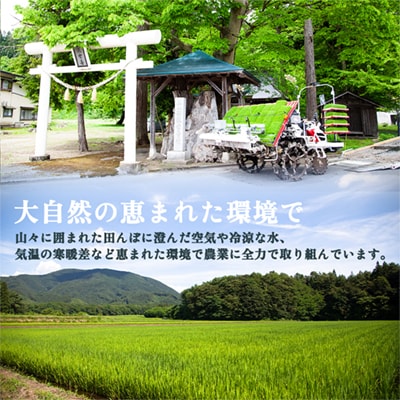 【1月中旬発送】令和7年産 あきたこまち 精米5kg【トライズ】米 精米 白米 単一原料米 国産米 