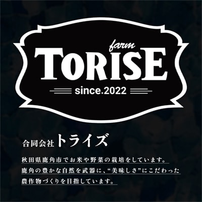 【1月発送】令和7年産 あきたこまち 精米5kg【トライズ】米 精米 白米 単一原料米 国産米 