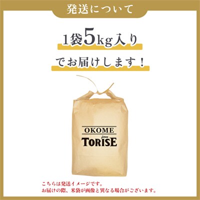 【1月発送】令和7年産 あきたこまち 精米5kg【トライズ】米 精米 白米 単一原料米 国産米 