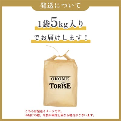 【3月発送】令和7年産 あきたこまち 精米5kg【トライズ】米 精米 白米 単一原料米 国産米 