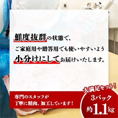 八幡平ポーク 焼肉セット 約1.1kg【八幡平養豚組合】