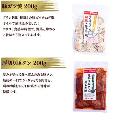 大ちゃんホルモンセット 豚ガツ入り 1.4kg(冷凍)【サン食品】