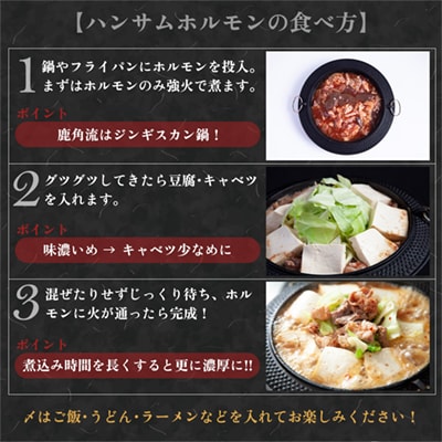 特製味付 ハンサムホルモン 300g×3袋【ハンサム侍】