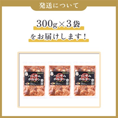 特製味付 ハンサムホルモン 300g×3袋【ハンサム侍】