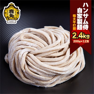 ハンサム麺 極太平打麺 400g×6袋【ハンサム侍】