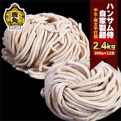 ハンサム麺 中太麺&極太平打麺 400g×各3袋(計6袋)【ハンサム侍】