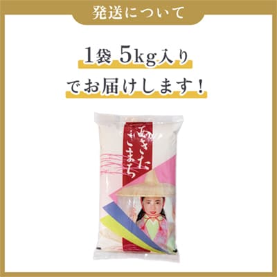 R7年産 あきたこまち 精米10kg【ハンサム侍】